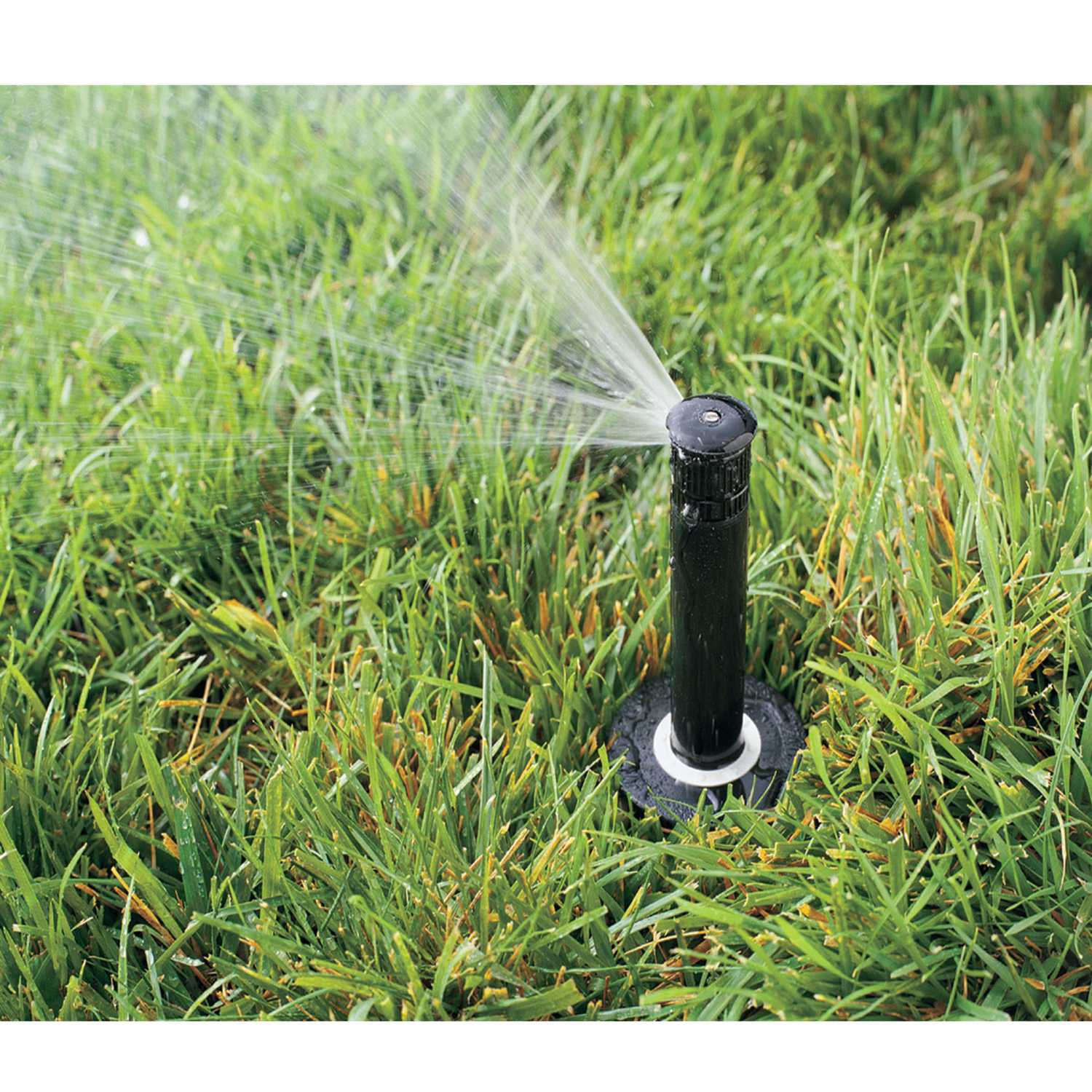 Rain Bird 1800 Series 4 in. H Quarter-Circle Pop-Up Sprinkler - Ace ...