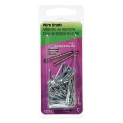 HILLMAN 17 Ga. X 1 in. L Galvanized Steel Brad Nails 1 pk 1.75 oz