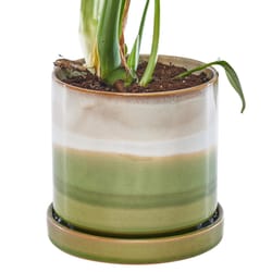 Chive Minute 5 in. D Ceramic Flower Pot Green Layers