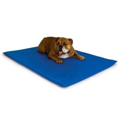 K&H Pet Prodcuts Blue Cool Bed III Pet Bed 22 in. W X 32 in. L