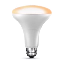 Feit Smart Home BR30 E26 (Medium) LED Bulb White 65 Watt Equivalence 1 pk