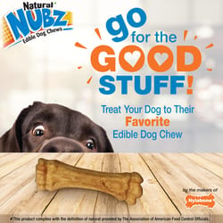 Nylabone NUBZ Peanut Butter Chews For Dogs 5.7 oz 4.5 in. 2 pk