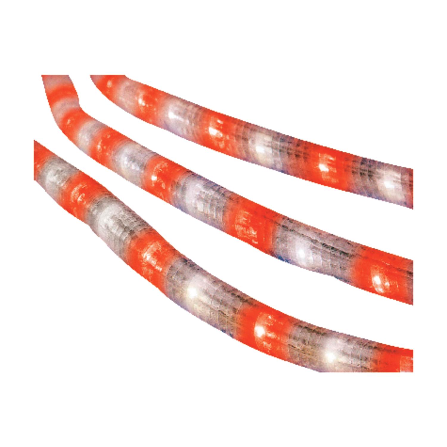 UPC 843518021828 product image for Celebrations Rope Lights (2T41AE14) | upcitemdb.com