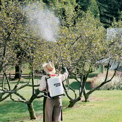 STIHL Sprayers: Backpack & Pump Sprayers at Ace Hardware