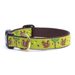 Up Country Green Nuts Nylon Dog Collar Large