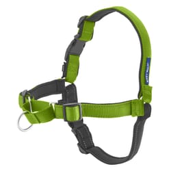 PetSafe Deluxe Easy Walk Green Nylon Dog Harness Small