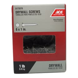 Ace No. 6 wire X 1 in. L Phillips Coarse Drywall Screws 1 lb 343 pk