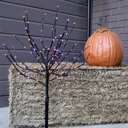 Celebrations Halloween Orange/Purple 32 in. LED Prelit Burst Halloween Decor