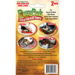BuggyBeds Glue Trap For Fleas/Ticks 2 pk