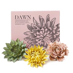 Chive Ceramic Flowers 2.9 in. H X 8.8 in. W X 9.9 in. L Glazed Assorted Ceramic Dawn Box Set