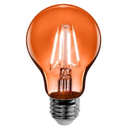 Feit A19 E26 (Medium) Party Bulb Color Changing 25 Watt Equivalence 1 pk