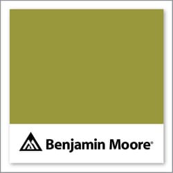 Benjamin Moore Forest Moss 2146-20