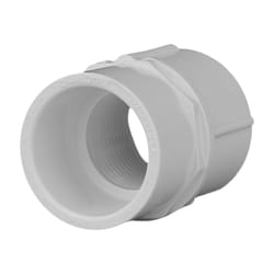Charlotte Pipe Schedule 40 3/4 in. Slip X 3/4 in. D FPT PVC Pipe Adapter 1 pk