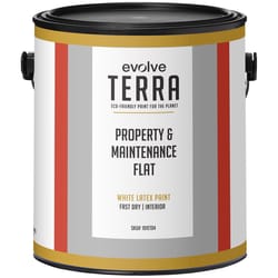 Evolve Terra Flat White Interior Latex Wall Paint Interior 1 gal