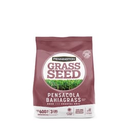 Pennington Pensacola Bahiagrass Full Sun Grass Seed 3 lb