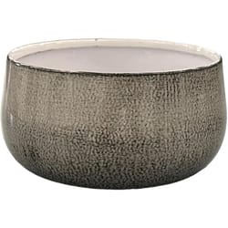 Robert Allen 5 in. D Steel Mini Bella Bowl Planter Dusted Pearl