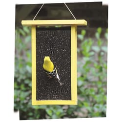 Birds Choice Green Solutions Finch 1.5 qt Plastic Hanging Bird Feeder