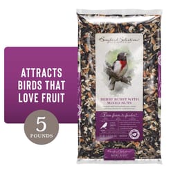 Songbird Selections Berry Burst with Mixed Nuts Wild Bird Seed Wild Bird Food 5 lb