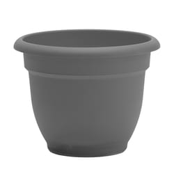 Bloem Ariana 5.25 in. H X 6.5 in. W X 6 in. D Polyresin Traditional Planter Charcoal