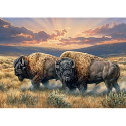 Cobble Hill Dusty Plains Jigsaw Puzzle 1000 pc