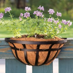 Panacea 16 in. W Steel Deck Rail Planter Black