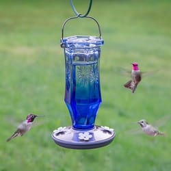 Perky-Pet Hummingbird 16 oz Glass/Metal Sapphire Starburst Vintage Nectar Bird Feeder 4 ports