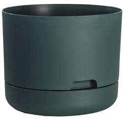 Rugg 10 in. D Polyresin Planter Green