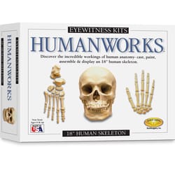 SD Toyz Eyewitness Kits Humanworks Multicolored