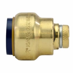 Apollo Tectite Push to Connect 3/4 in. PTC in to Brass Cap with Drain