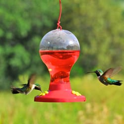 Perky-Pet Hummingbird 16 oz Plastic Nectar Feeder 3 ports