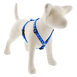 LupinePet Original Designs Multicolored Dapper Dog Nylon Dog Harness