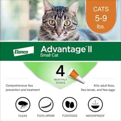 Elanco Advantage II Liquid Cat Flea Drops Imidacloprid/Pyriproxyfen 0.056 oz