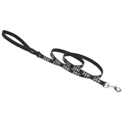 LupinePet Original Designs Multicolor Bling Bonz Nylon Dog Leash