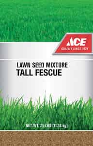 ace seed lawn grass hardware