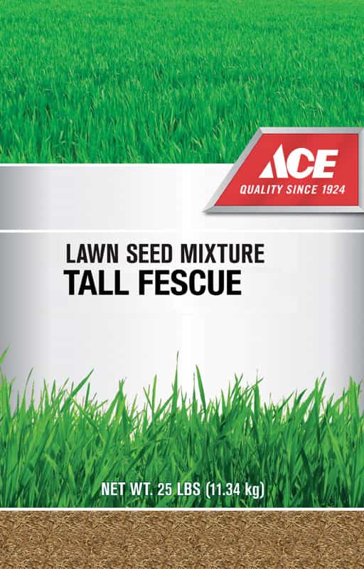 Ace Tall Fescue Lawn Seed Blend 25 lb. Ace Hardware
