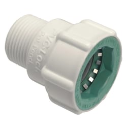 Orbit PVC-Lock 3/4 in. Push X 3/4 in. D MPT Plastic Pipe Adapter