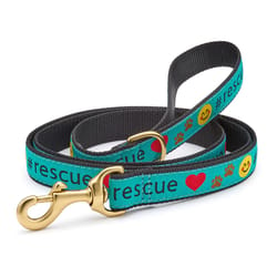 Up Country Teal Rescue Nylon Dog Leash