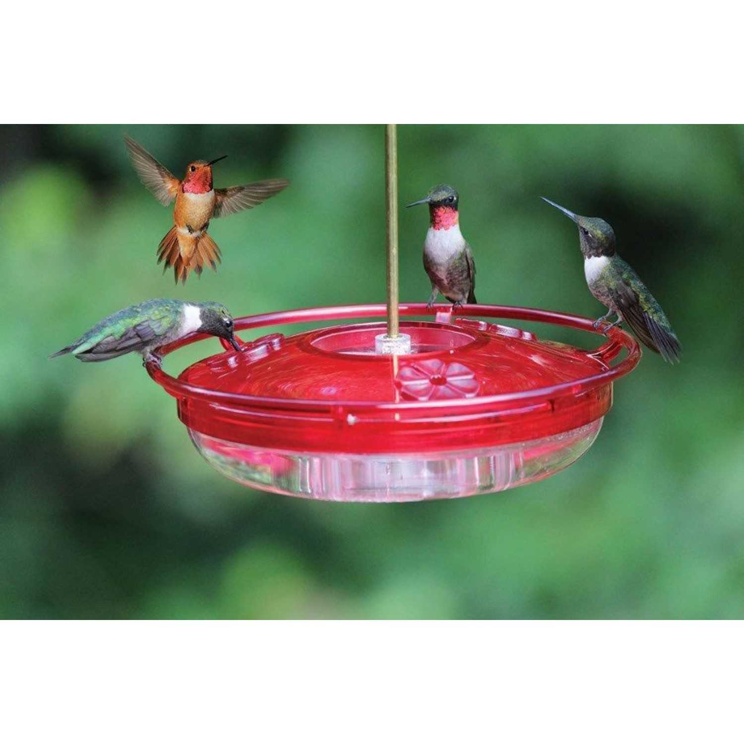 Cole S Hummer High Rise Hummingbird 8 Polycarbonate Bird Feeder 3