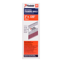 Paslode 3 in. Framing Bright Steel Nail Full Round Head