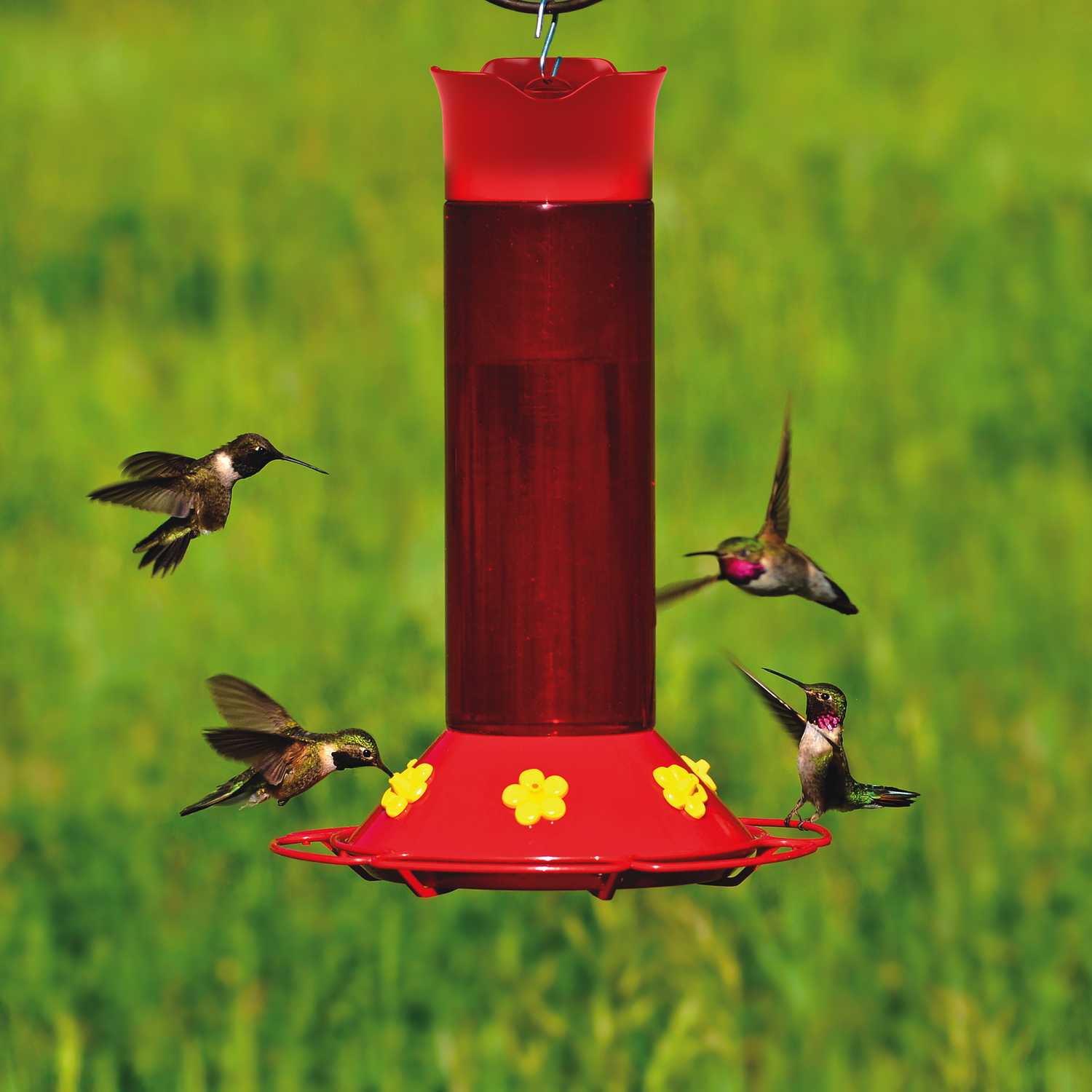 Perky Pet Hummingbird 30 Oz Plastic Nectar Feeder 6 Ports Ace