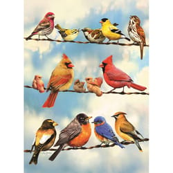 Cobble Hill Blue Sky Birds Tray Puzzle Multicolored 35 pc