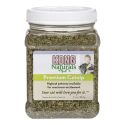 Kong Grain Free Catnip For Cat 2 oz 1 pk