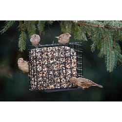 Stokes Select Wild Bird Glass/Metal/Plastic Seed Cake Feeder