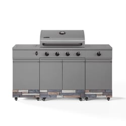 TYTUS Fresno 4 Burner Natural Gas/Propane Grill Gray