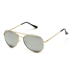 WearMe Pro Gold/Silver Sunglasses