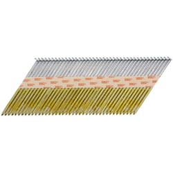 Senco 3 in. L X 16 Ga. Angled Strip Hot-Dip Galvanized Framing Nails 2,500 pk