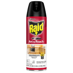 Raid Ant and Roach Killer Aerosol 17.5 oz