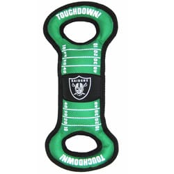 Pets First NFL Green Nylon Oakland Raiders Dog Tug Toy 1 pk