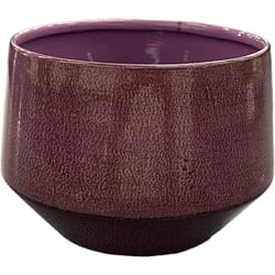 Robert Allen 5 in. D Steel Tapered Chalet Planter Purple