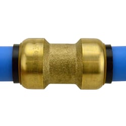 Apollo Tectite Push to Connect 3/4 in. PTC in to X 3/4 in. D PTC Brass Coupling